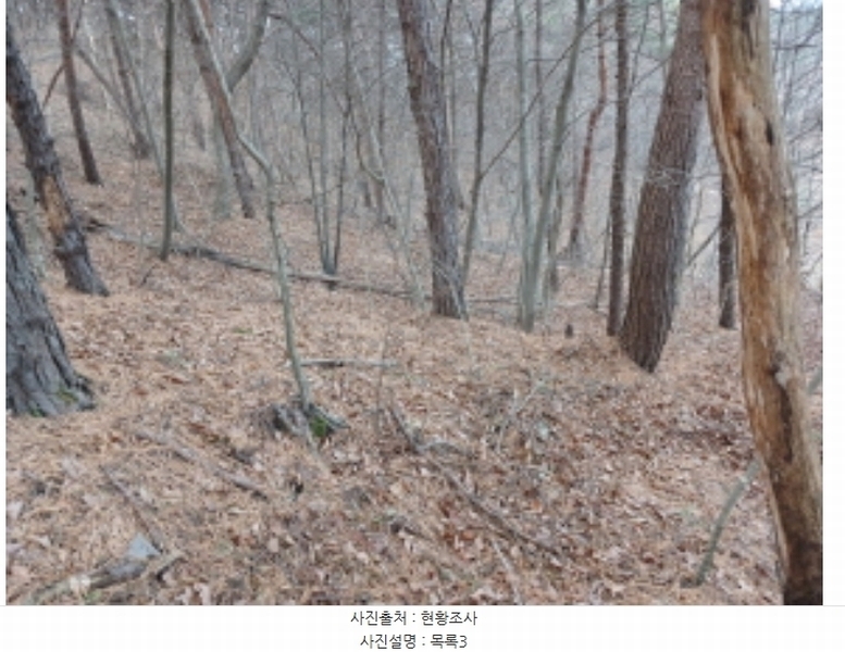 2024타경5238 충청남도 당진시 고대면 대촌리 772-1 공장 경매 이미지