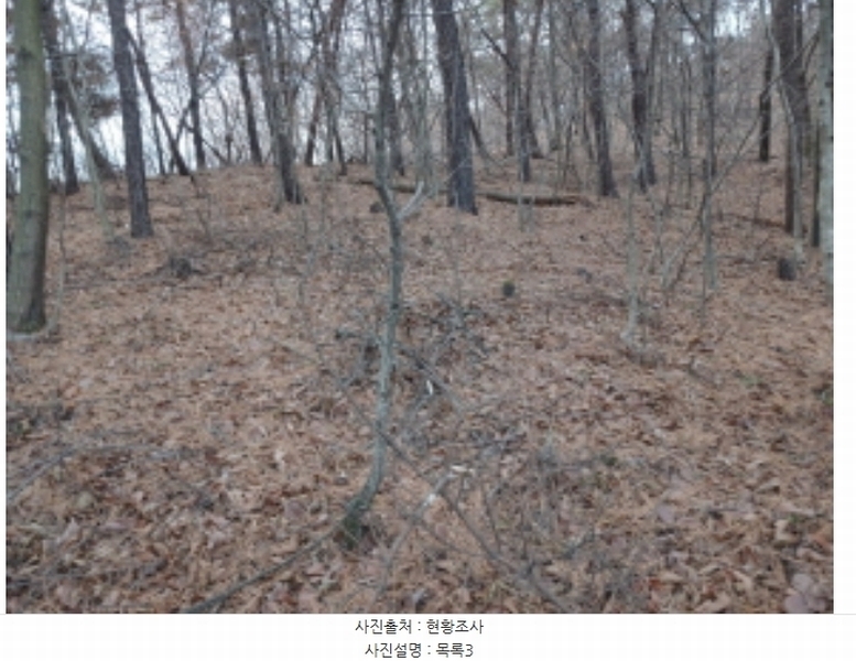 2024타경5238 충청남도 당진시 고대면 대촌리 772-1 공장 경매 이미지