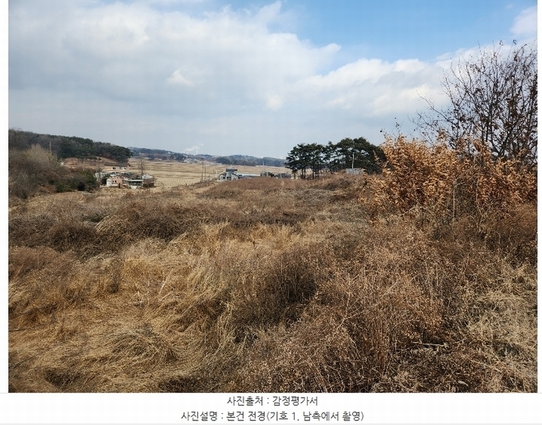 2024타경5290 충청남도 당진시 송악읍 도원리 247-1 임야 경매 이미지