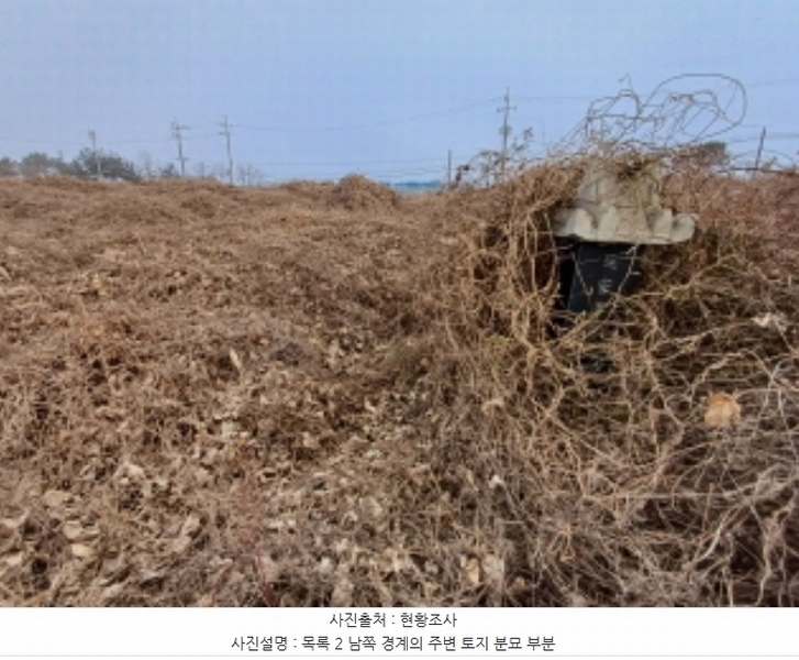 2024타경5290 충청남도 당진시 송악읍 도원리 247-1 임야 경매 이미지