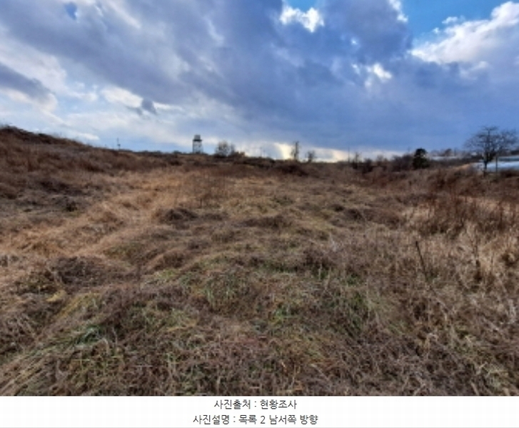 2024타경5290 충청남도 당진시 송악읍 도원리 247-1 임야 경매 이미지
