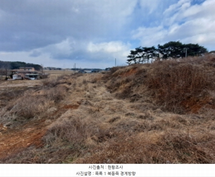2024타경5290 충청남도 당진시 송악읍 도원리 247-1 임야 경매 이미지