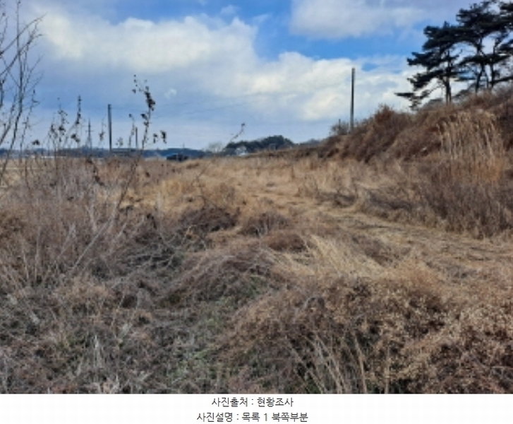 2024타경5290 충청남도 당진시 송악읍 도원리 247-1 임야 경매 이미지