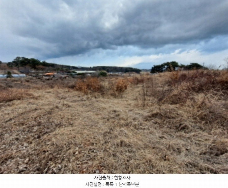 2024타경5290 충청남도 당진시 송악읍 도원리 247-1 임야 경매 이미지