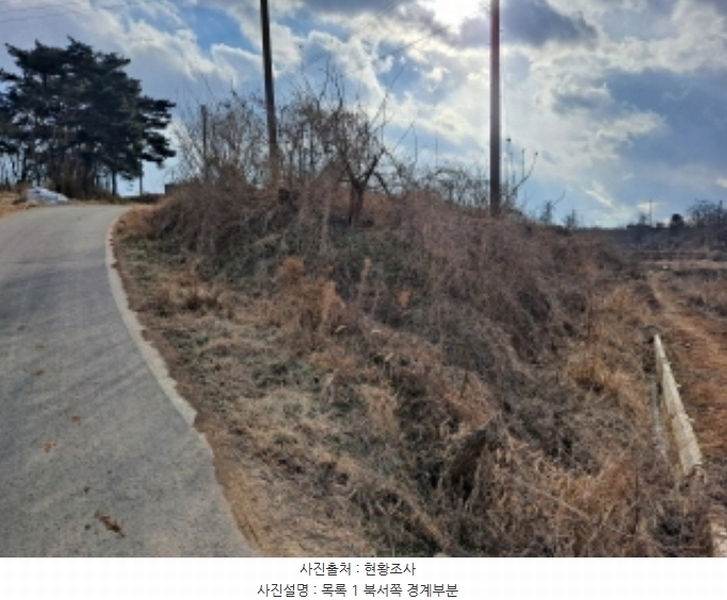 2024타경5290 충청남도 당진시 송악읍 도원리 247-1 임야 경매 이미지