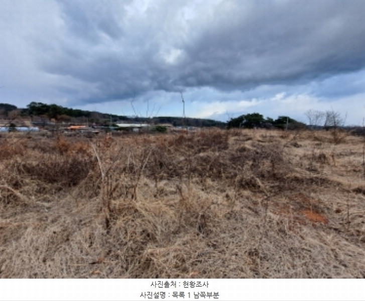 2024타경5290 충청남도 당진시 송악읍 도원리 247-1 임야 경매 이미지