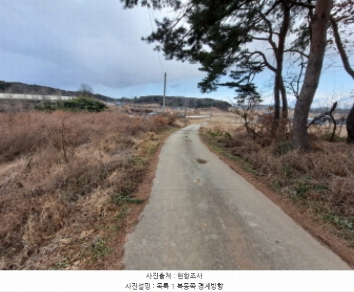 2024타경5290 충청남도 당진시 송악읍 도원리 247-1 임야 경매 이미지
