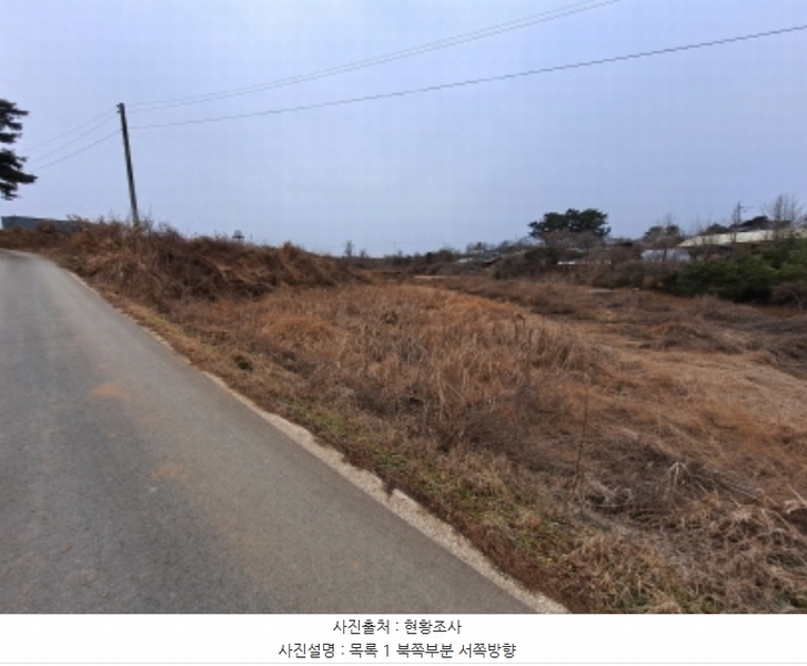 2024타경5290 충청남도 당진시 송악읍 도원리 247-1 임야 경매 이미지