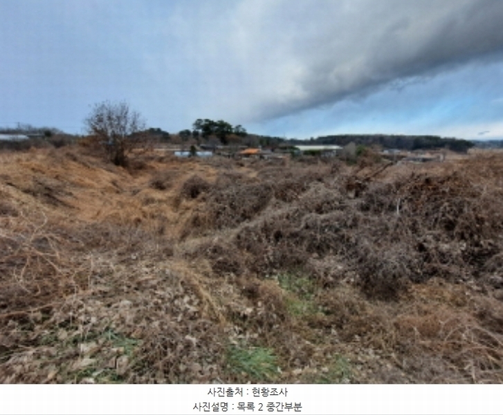 2024타경5290 충청남도 당진시 송악읍 도원리 247-1 임야 경매 이미지