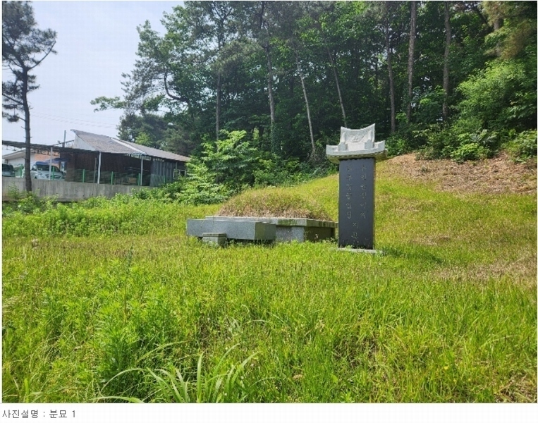 2024타경54988 충청남도 당진시 송악읍 본당리 580-17 임야 경매 이미지