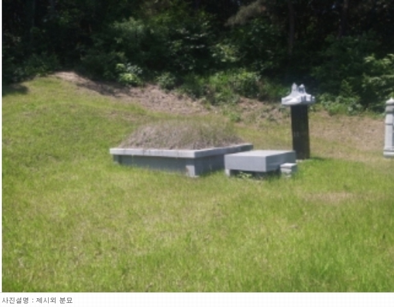 2024타경54988 충청남도 당진시 송악읍 본당리 580-17 임야 경매 이미지