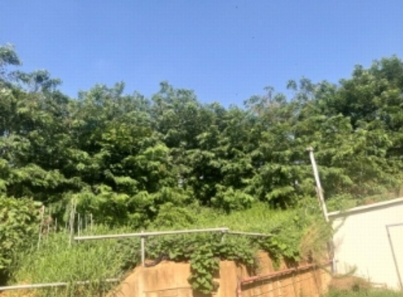 2024타경56540 충청남도 당진시 송악읍 고대리 43-12 농지 경매 이미지
