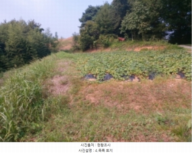 2024타경58317 충청남도 당진시 우두동 814 주택 경매 이미지