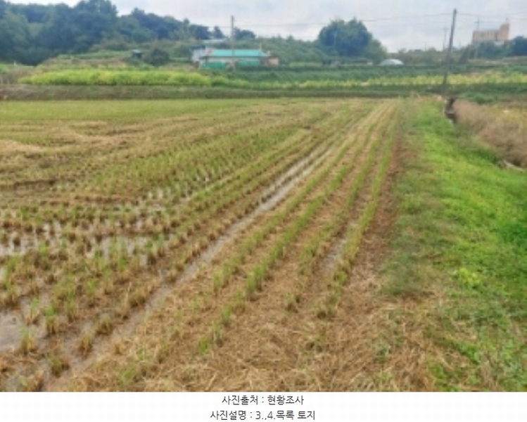 2024타경59259 충청남도 당진시 송악읍 복운리 171 농지 경매 이미지