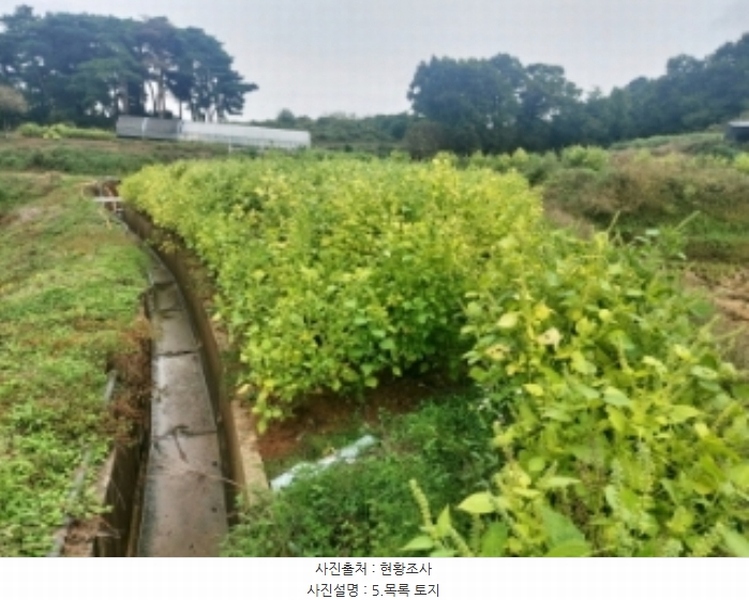 2024타경59259 충청남도 당진시 송악읍 복운리 171 농지 경매 이미지