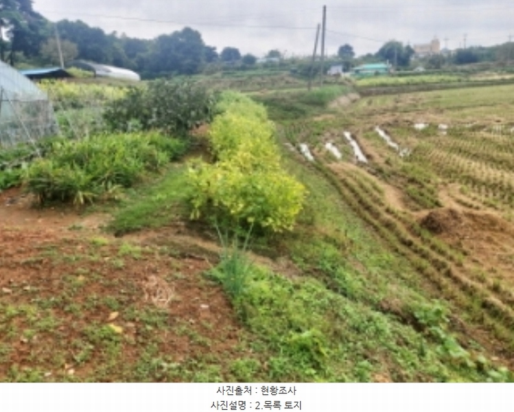 2024타경59259 충청남도 당진시 송악읍 복운리 171 농지 경매 이미지