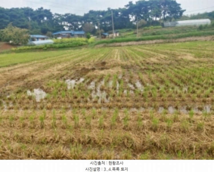 2024타경59259 충청남도 당진시 송악읍 복운리 171 농지 경매 이미지