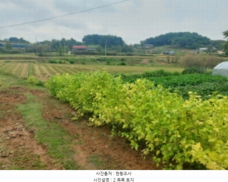 2024타경59259 충청남도 당진시 송악읍 복운리 171 농지 경매 이미지