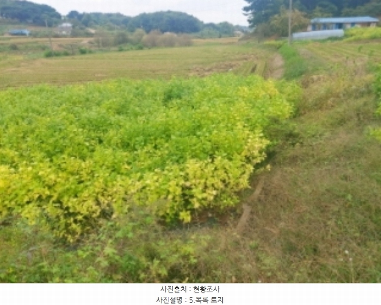 2024타경59259 충청남도 당진시 송악읍 복운리 171 농지 경매 이미지