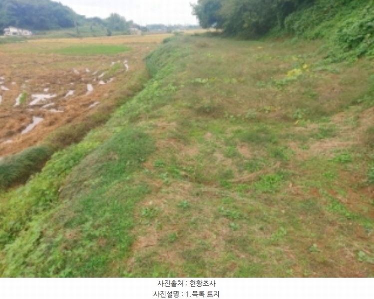 2024타경59259 충청남도 당진시 송악읍 복운리 171 농지 경매 이미지