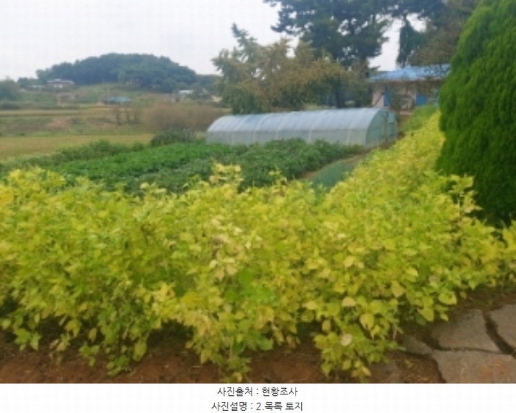 2024타경59259 충청남도 당진시 송악읍 복운리 171 농지 경매 이미지