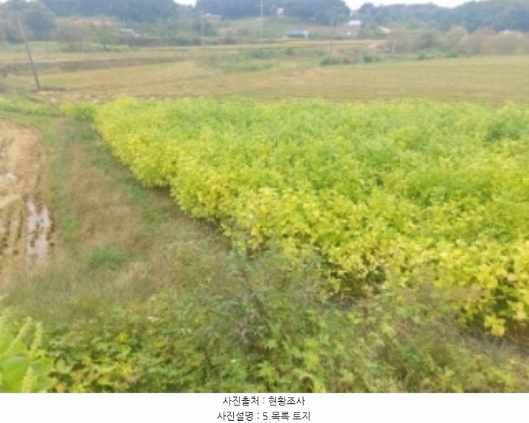 2024타경59259 충청남도 당진시 송악읍 복운리 171 농지 경매 이미지