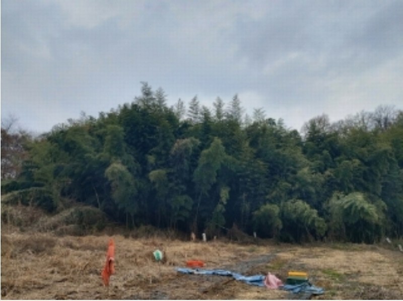 2024타경61092 충청남도 당진시 송악읍 가학리 산26-3 임야 경매 이미지