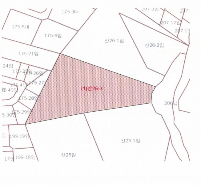 2024타경61092 충청남도 당진시 송악읍 가학리 산26-3 임야 경매 이미지