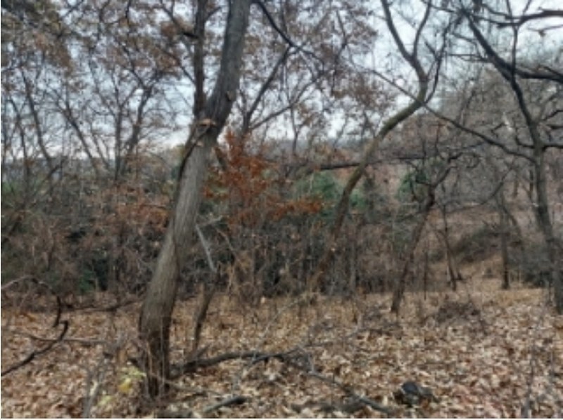 2024타경61092 충청남도 당진시 송악읍 가학리 산26-3 임야 경매 이미지