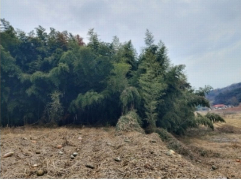 2024타경61092 충청남도 당진시 송악읍 가학리 산26-3 임야 경매 이미지