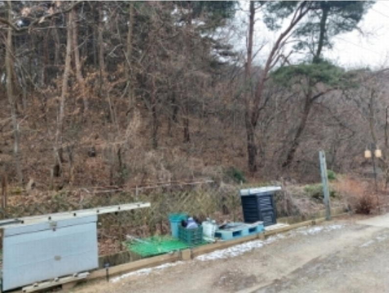 2024타경61504 충청남도 당진시 송산면 금암리 산21 임야 경매 이미지