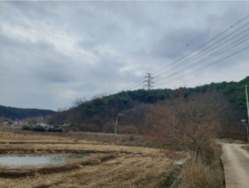 2024타경61504 충청남도 당진시 송산면 금암리 산21 임야 경매 이미지