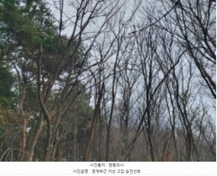 2024타경61504 충청남도 당진시 송산면 금암리 산21 임야 경매 이미지
