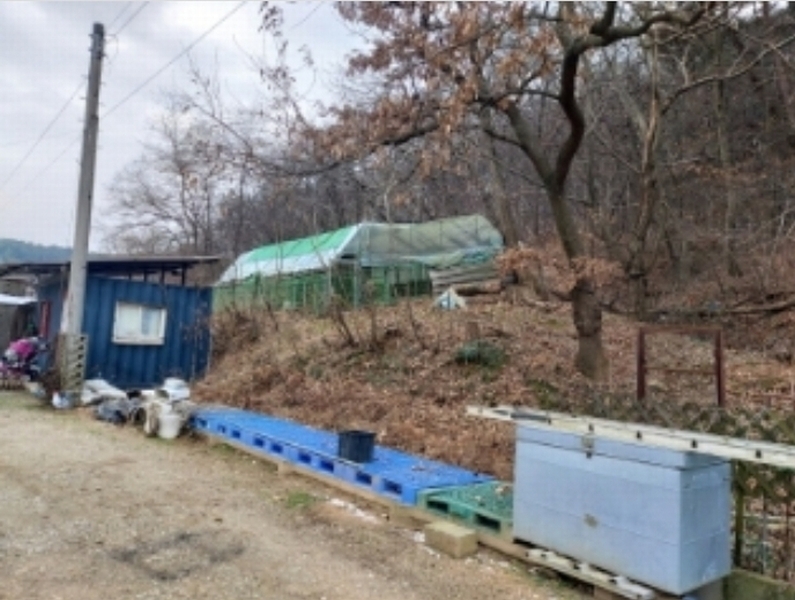 2024타경61504 충청남도 당진시 송산면 금암리 산21 임야 경매 이미지
