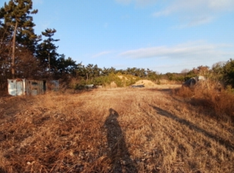2024타경61689 충청남도 서산시 대산읍 대로리 산141-35 임야 경매 이미지