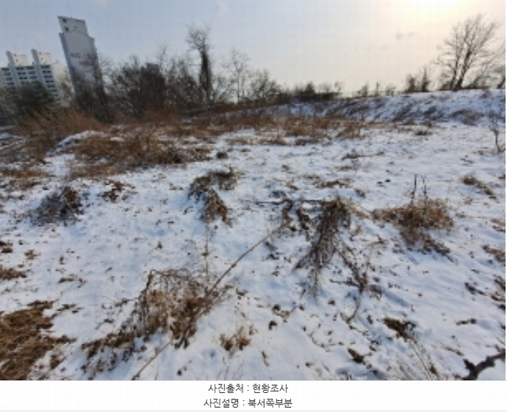 2024타경61849 충청남도 당진시 송악읍 중흥리 661-13 임야 경매 이미지
