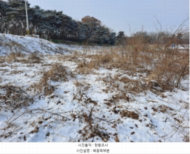 2024타경61849 충청남도 당진시 송악읍 중흥리 661-13 임야 경매 이미지