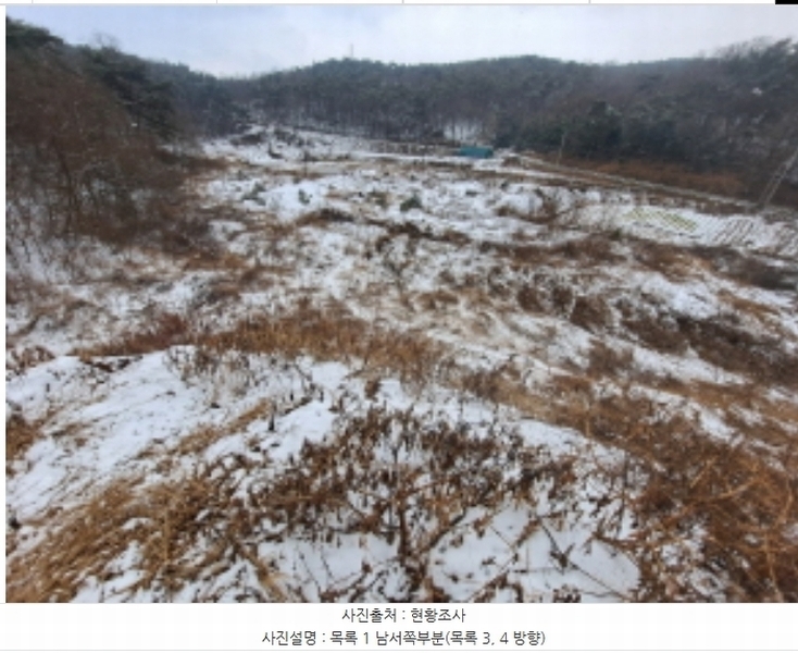 2024타경62217 충청남도 당진시 송악읍 월곡리 산48-4 임야 경매 이미지