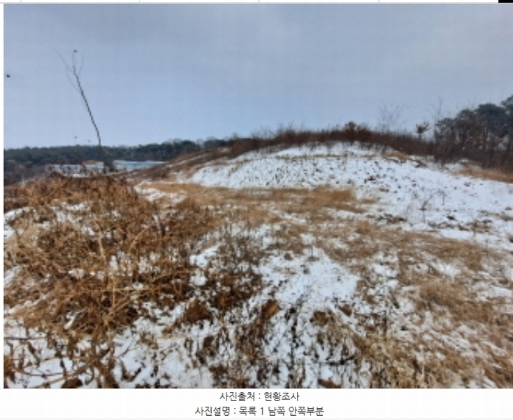 2024타경62217 충청남도 당진시 송악읍 월곡리 산48-4 임야 경매 이미지