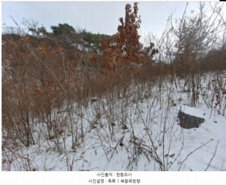 2024타경62217 충청남도 당진시 송악읍 월곡리 산48-4 임야 경매 이미지