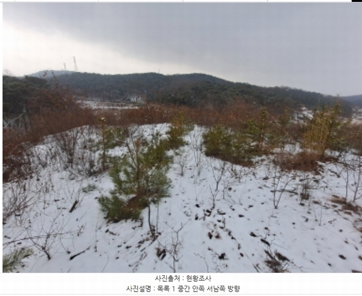 2024타경62217 충청남도 당진시 송악읍 월곡리 산48-4 임야 경매 이미지