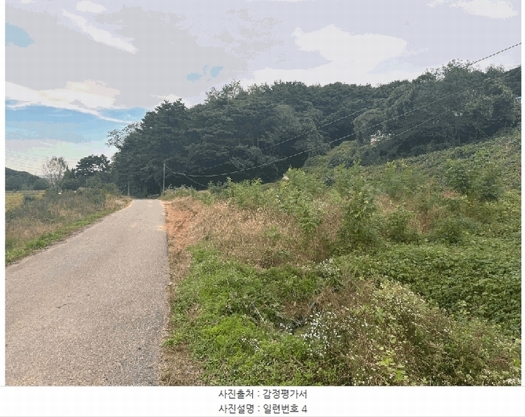2024타경62217 충청남도 당진시 송악읍 월곡리 산48-4 임야 경매 이미지