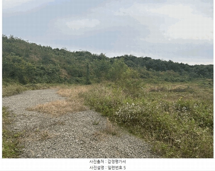 2024타경62217 충청남도 당진시 송악읍 월곡리 산48-4 임야 경매 이미지