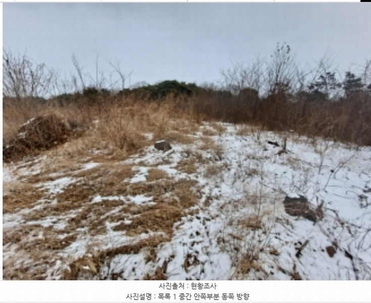 2024타경62217 충청남도 당진시 송악읍 월곡리 산48-4 임야 경매 이미지