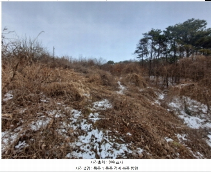 2024타경62217 충청남도 당진시 송악읍 월곡리 산48-4 임야 경매 이미지