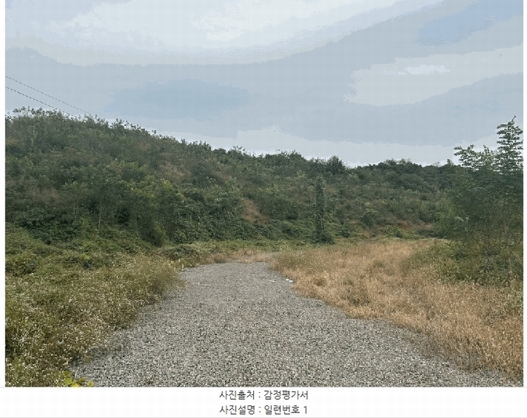 2024타경62217 충청남도 당진시 송악읍 월곡리 산48-4 임야 경매 이미지