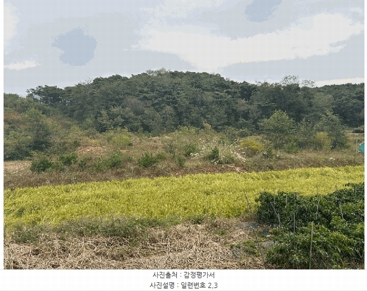 2024타경62217 충청남도 당진시 송악읍 월곡리 산48-4 임야 경매 이미지