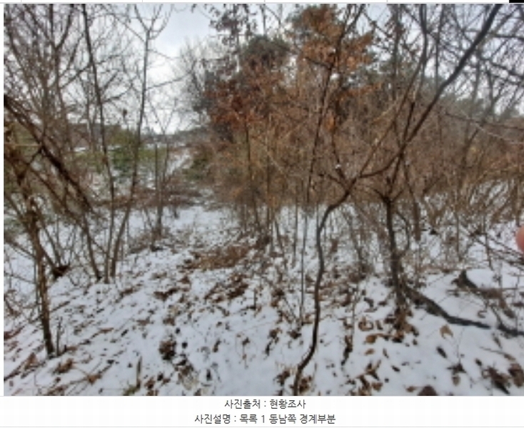 2024타경62217 충청남도 당진시 송악읍 월곡리 산48-4 임야 경매 이미지