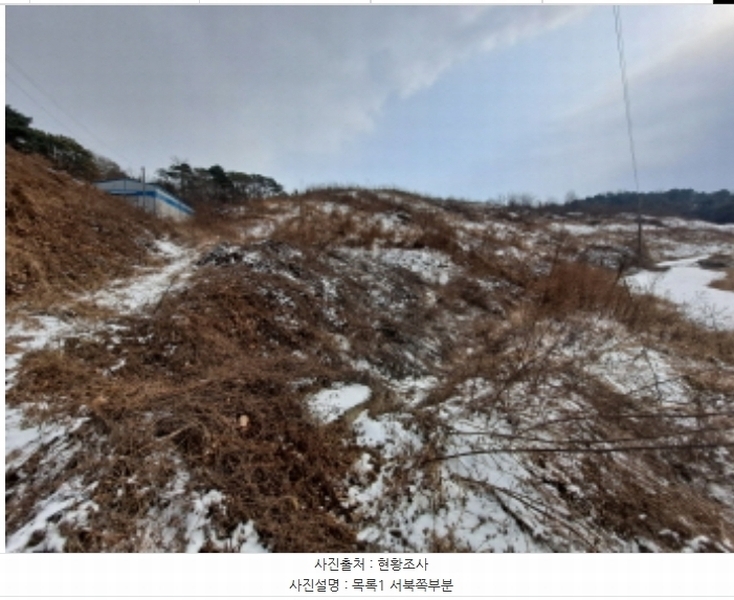 2024타경62217 충청남도 당진시 송악읍 월곡리 산48-4 임야 경매 이미지