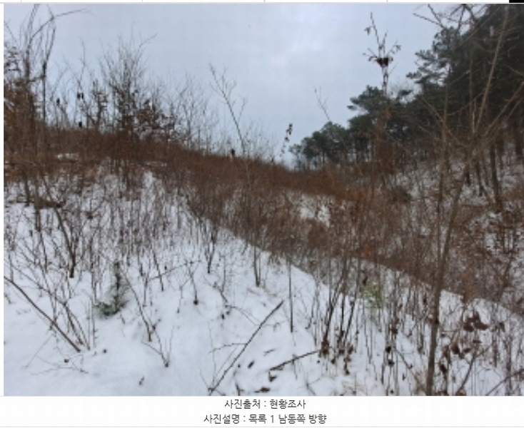 2024타경62217 충청남도 당진시 송악읍 월곡리 산48-4 임야 경매 이미지